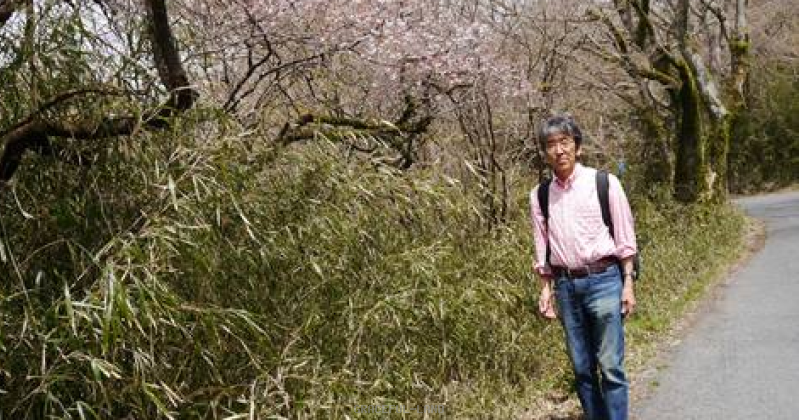 地震見舞いのお礼 地震見舞いのお礼